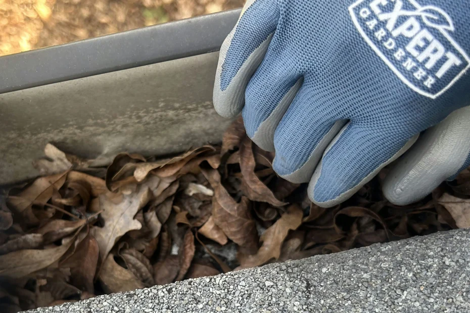 Gutter Cleaning Gibsonville